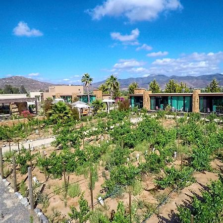 Entre Vinedos By Hotel Boutique Valle De Guadalupe Kültér fotó