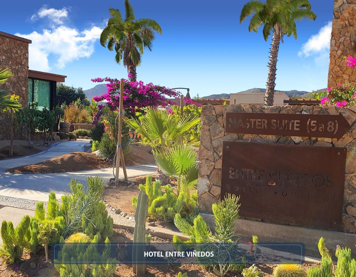 Entre Vinedos By Hotel Boutique Valle De Guadalupe Kültér fotó
