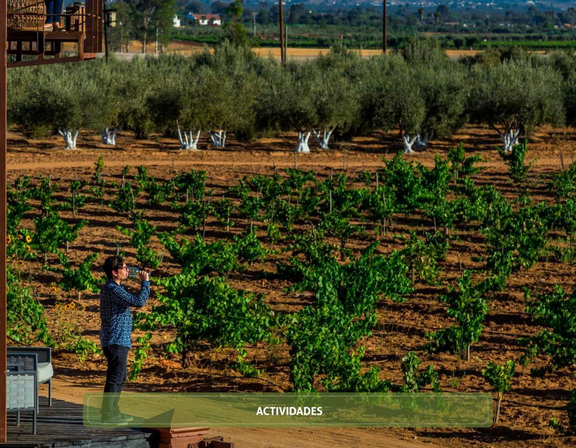 Entre Vinedos By Hotel Boutique Valle De Guadalupe Kültér fotó