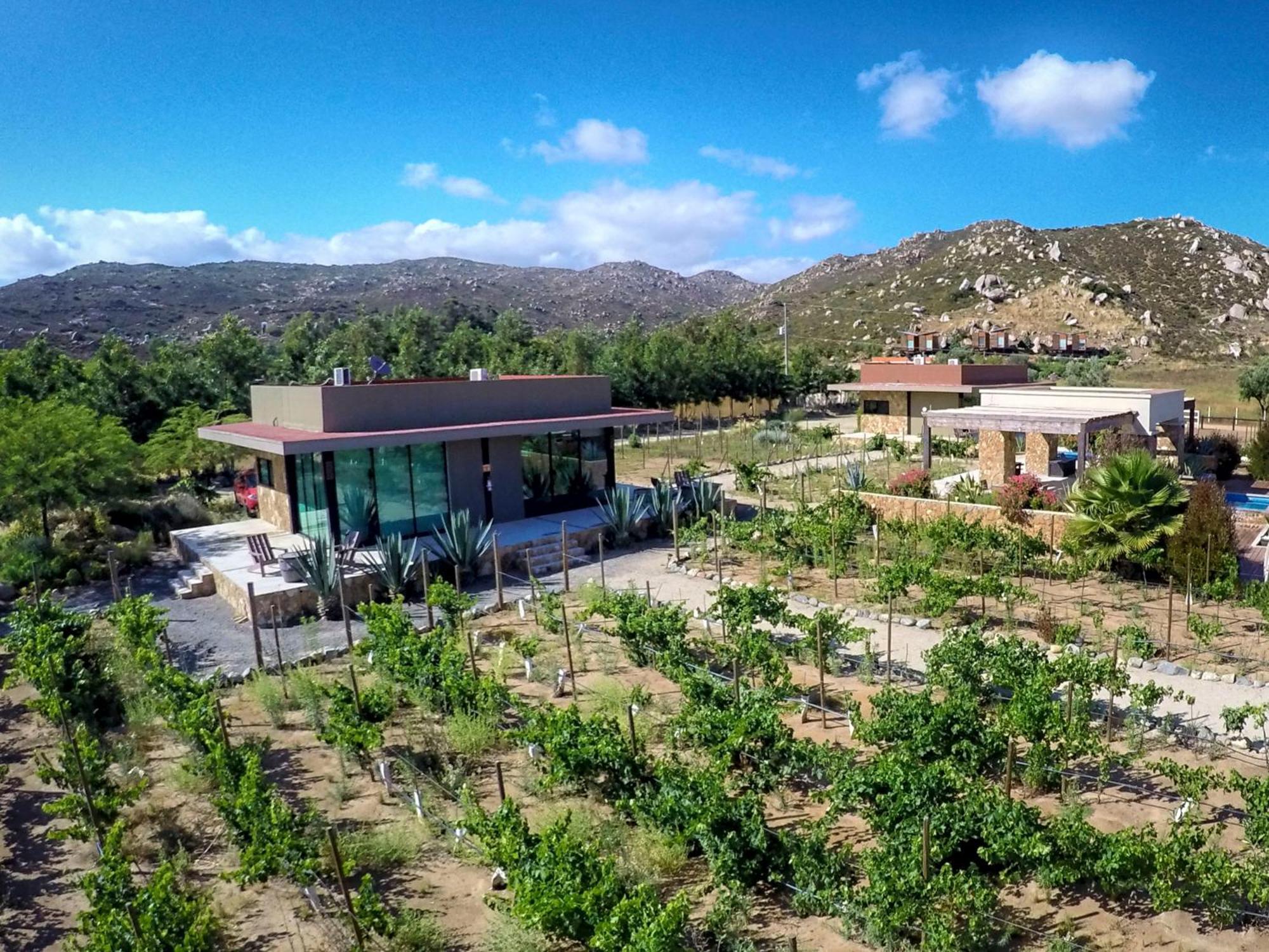 Entre Vinedos By Hotel Boutique Valle De Guadalupe Szoba fotó